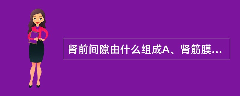 肾前间隙由什么组成A、肾筋膜前层与腹膜壁层B、肾筋膜前层与腹膜脏层C、肾筋膜后层