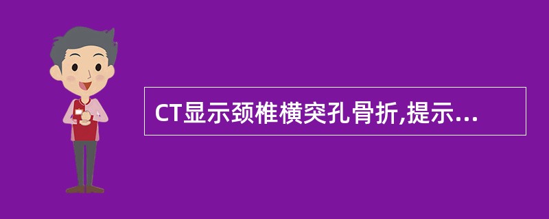 CT显示颈椎横突孔骨折,提示A、重要神经损伤B、脊髓损伤C、椎动脉损伤D、椎静脉