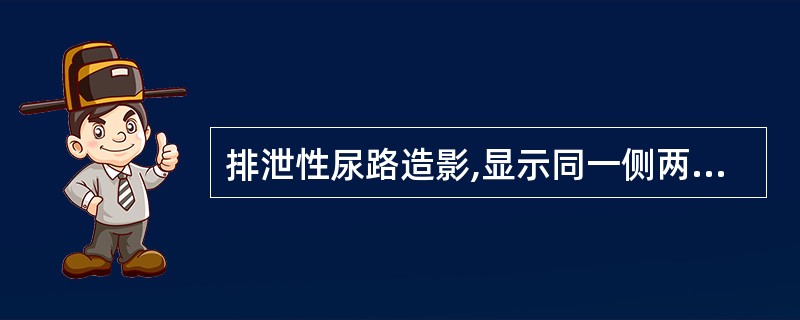 排泄性尿路造影,显示同一侧两套肾盏肾盂和输尿管
