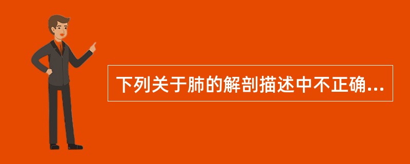 下列关于肺的解剖描述中不正确的是A、一般情况下,左肺门比右肺门位置高B、心胸比率