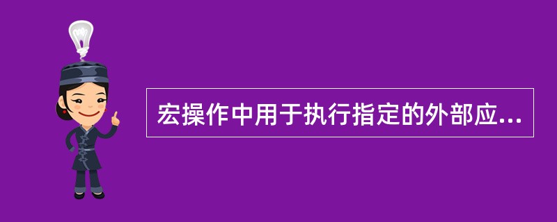 宏操作中用于执行指定的外部应用程序的是() 命令。