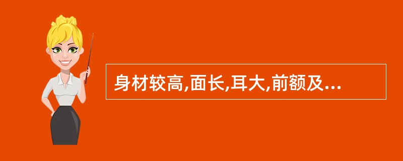 身材较高,面长,耳大,前额及颧骨凸出,大睾丸