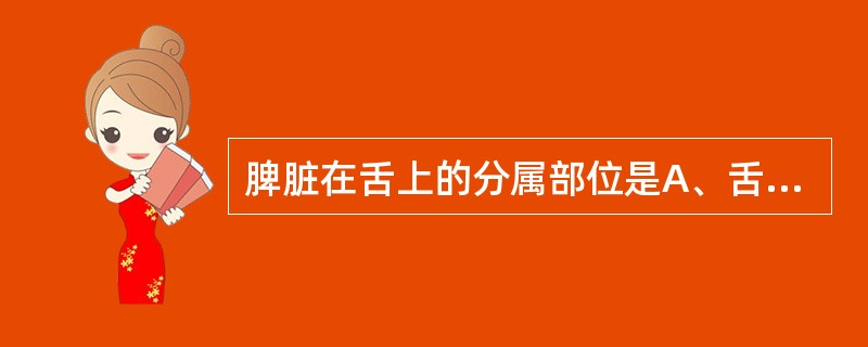 脾脏在舌上的分属部位是A、舌边B、舌尖C、舌中D、舌根E、舌面