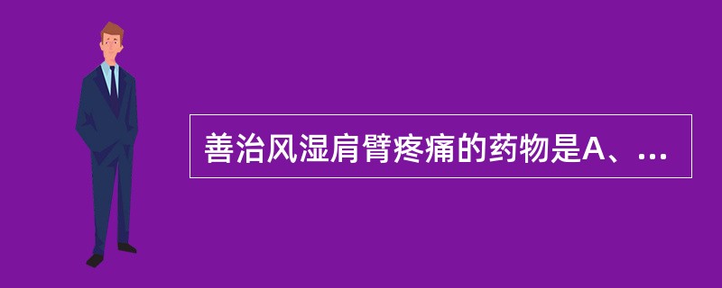 善治风湿肩臂疼痛的药物是A、羌活B、姜黄C、延胡索D、秦艽E、独活