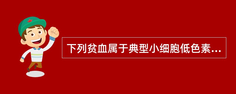 下列贫血属于典型小细胞低色素贫血的是A、再生障碍性贫血B、海洋性贫血C、溶血性贫