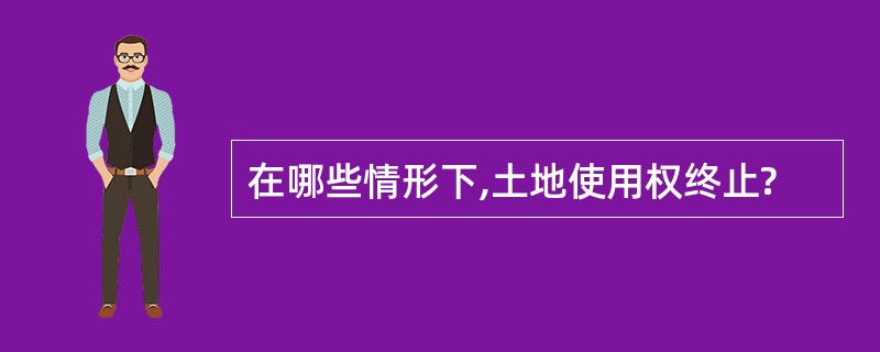 在哪些情形下,土地使用权终止?