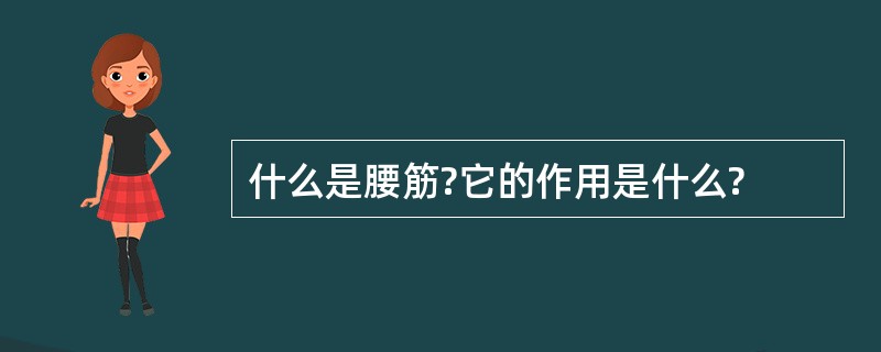 什么是腰筋?它的作用是什么?