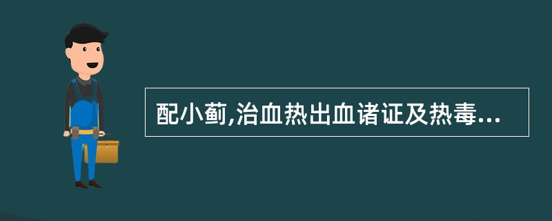 配小蓟,治血热出血诸证及热毒疮肿( )