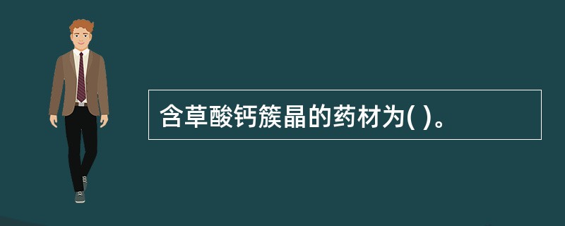 含草酸钙簇晶的药材为( )。