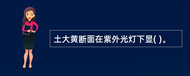 土大黄断面在紫外光灯下显( )。