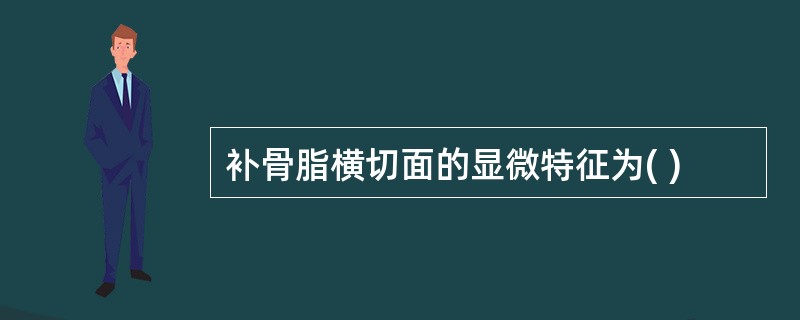 补骨脂横切面的显微特征为( )