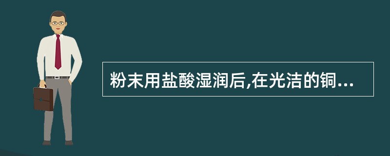 粉末用盐酸湿润后,在光洁的铜片上摩擦,铜片表面显银白色光泽,加热烘烤后,银白色消