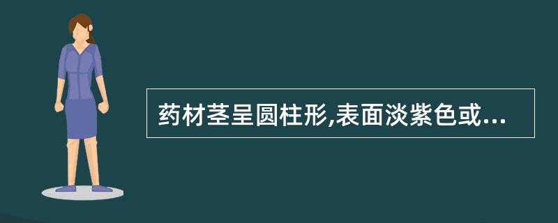 药材茎呈圆柱形,表面淡紫色或紫色,有纵条纹的是( )