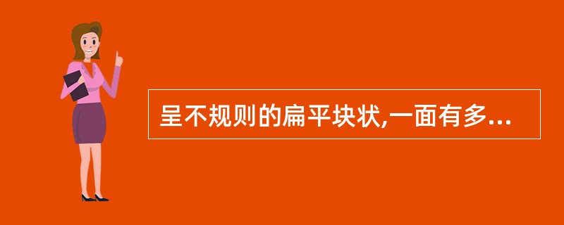 呈不规则的扁平块状,一面有多数圆形乳头状突起的药材为( )。