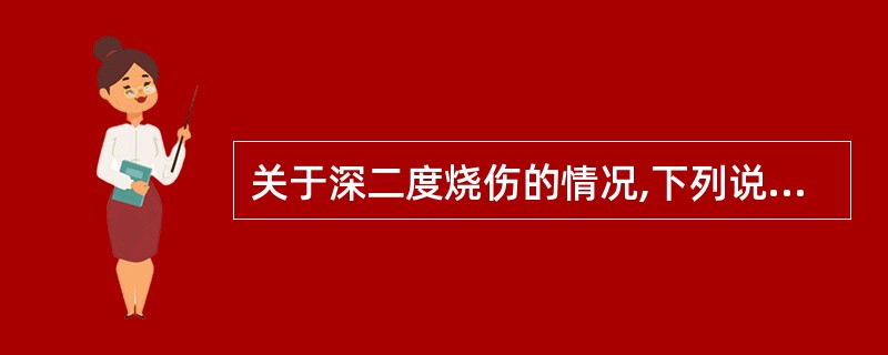 关于深二度烧伤的情况,下列说法正确的是( )。A、1周内可愈合B、愈合后留有明显