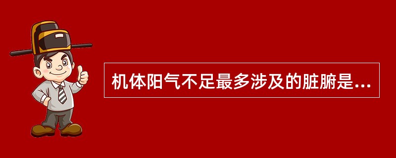 机体阳气不足最多涉及的脏腑是A、肝肾B、肺脾C、脾肾D、脾肝E、心脾