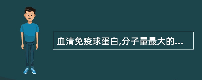 血清免疫球蛋白,分子量最大的是A、IgMB、IgGC、IgDD、IgAE、IgE