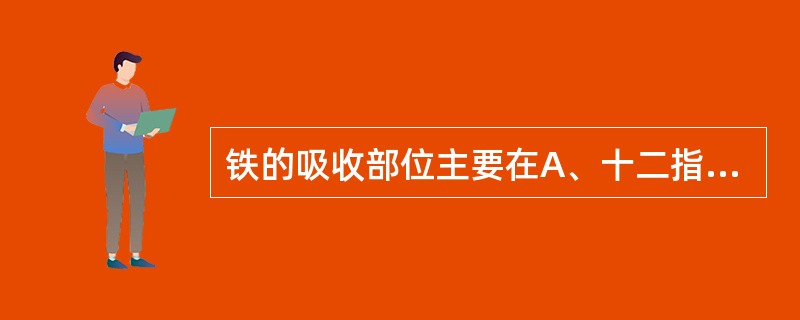 铁的吸收部位主要在A、十二指肠和胃部B、十二指肠和空肠上段C、十二指肠和盲肠D、