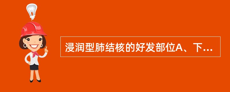 浸润型肺结核的好发部位A、下叶背段B、肺尖或锁骨下区C、中叶D、肺门区E、肺底部