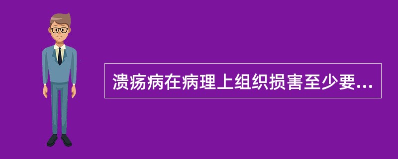 溃疡病在病理上组织损害至少要深达的层次是A、黏膜层B、黏膜下层C、黏膜肌层D、肌