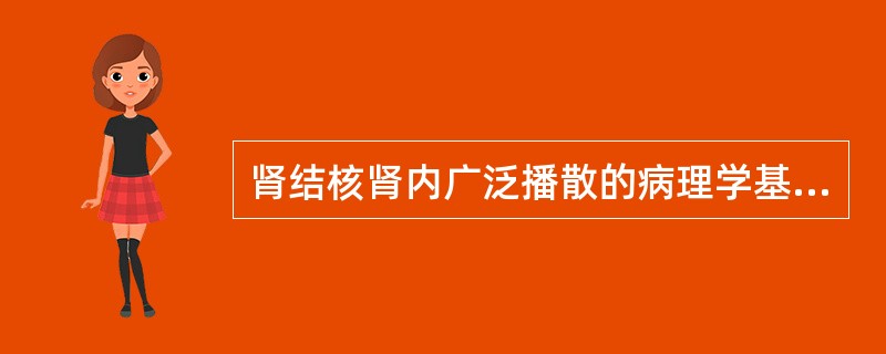 肾结核肾内广泛播散的病理学基础是:()。A、血性播散B、病变位于肾皮质C、病变位