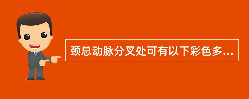 颈总动脉分叉处可有以下彩色多普勒血流显像的正常变异:()。