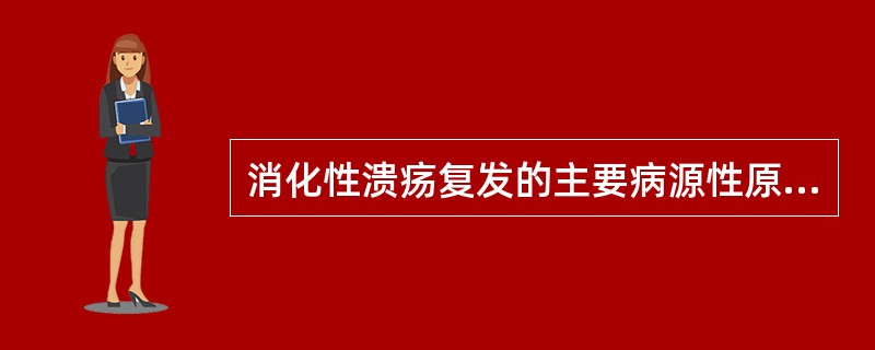 消化性溃疡复发的主要病源性原因是 ( )。