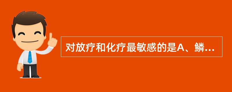 对放疗和化疗最敏感的是A、鳞癌B、腺癌C、大细胞癌D、小细胞未分化癌E、鳞腺癌