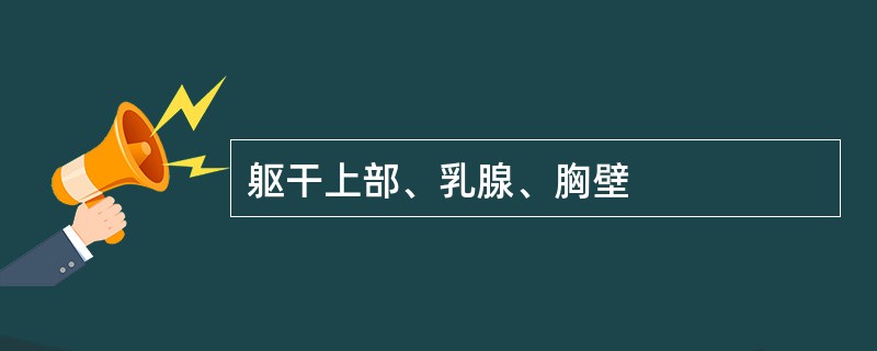 躯干上部、乳腺、胸壁