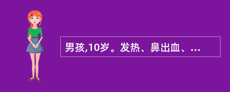 男孩,10岁。发热、鼻出血、皮肤出血点5d住院。骨髓涂片原始细胞占0.89(89