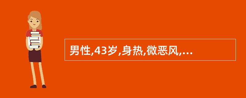 男性,43岁,身热,微恶风,汗少,肢体酸重,头昏重胀而痛,心烦口渴,胸闷恶心,小