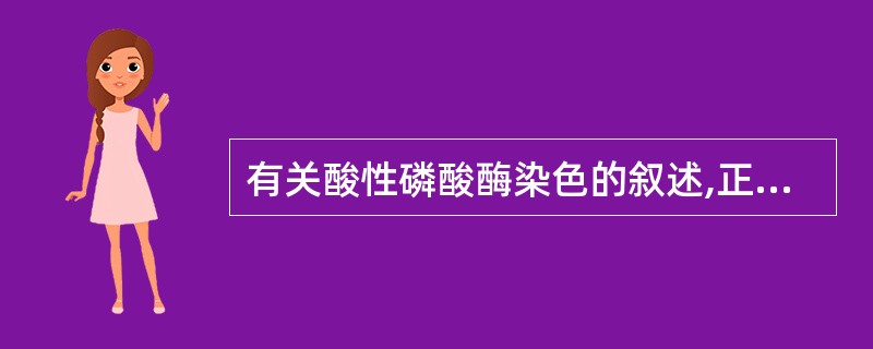 有关酸性磷酸酶染色的叙述,正确的是A、T淋巴细胞为阳性反应B、B淋巴细胞为阴性反