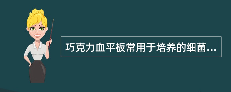 巧克力血平板常用于培养的细菌是 ( )A、淋病奈瑟菌B、肺炎链球菌C、脑膜炎奈瑟