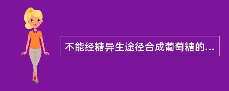 不能经糖异生途径合成葡萄糖的物质是A、γ£­磷酸甘油B、丙酮酸C、乳酸D、乙酰C