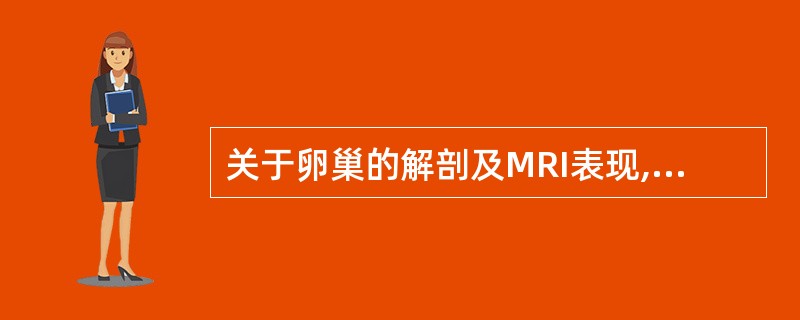 关于卵巢的解剖及MRI表现,正确的是:()。A、T2WI脂肪抑制序列显示正常卵巢