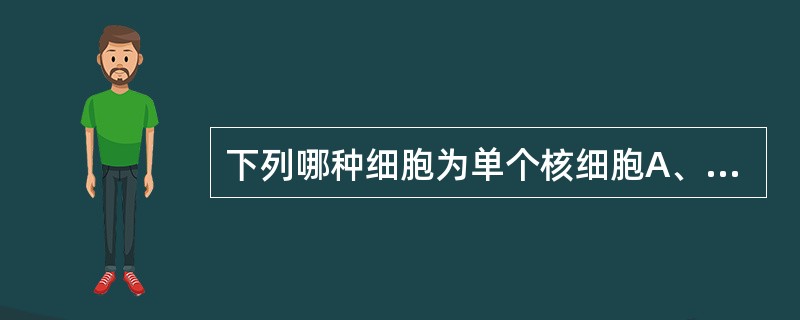 下列哪种细胞为单个核细胞A、红细胞B、淋巴细胞C、嗜中性粒细胞D、嗜酸性粒细胞E