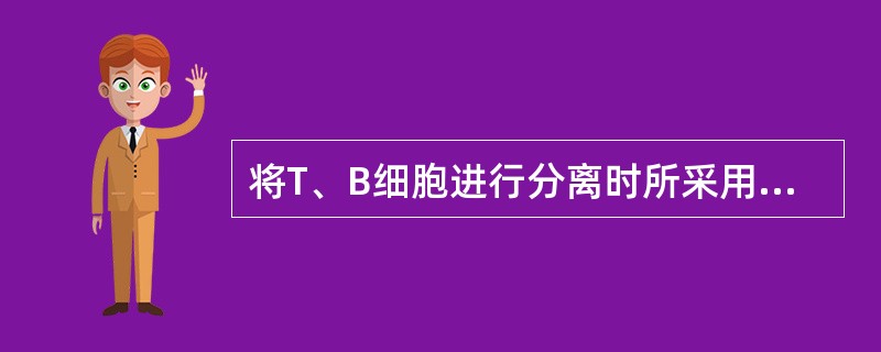 将T、B细胞进行分离时所采用的尼龙毛柱分离法利用B细胞和单核细胞的如下特点A、体