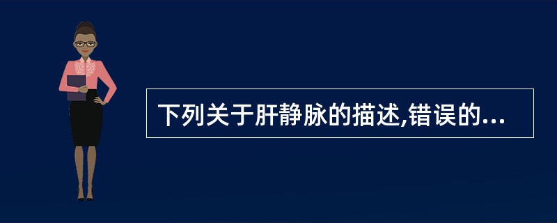 下列关于肝静脉的描述,错误的是()。