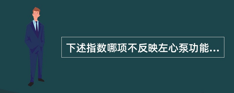 下述指数哪项不反映左心泵功能:()。A、收输出量(CO)B、射血分数(EF)C、