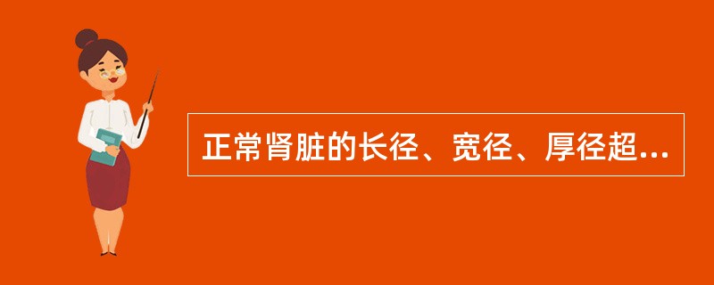 正常肾脏的长径、宽径、厚径超声测值分别为()。