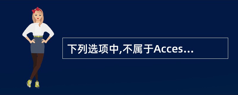 下列选项中,不属于Access数据类型的是