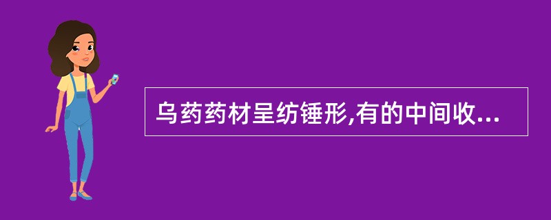 乌药药材呈纺锤形,有的中间收缩呈连珠状的称为( )