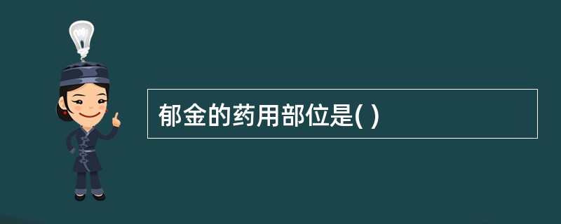 郁金的药用部位是( )