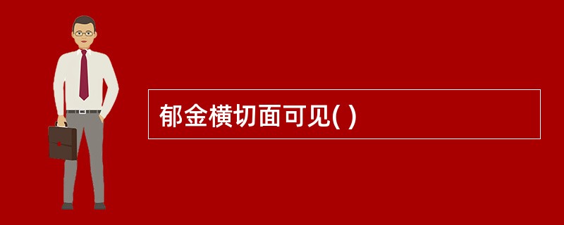 郁金横切面可见( )