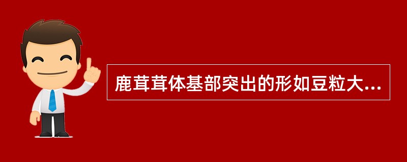 鹿茸茸体基部突出的形如豆粒大小的突起称为( )