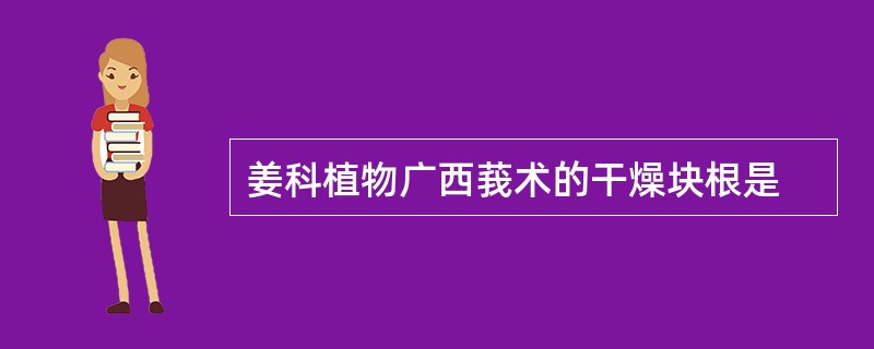 姜科植物广西莪术的干燥块根是