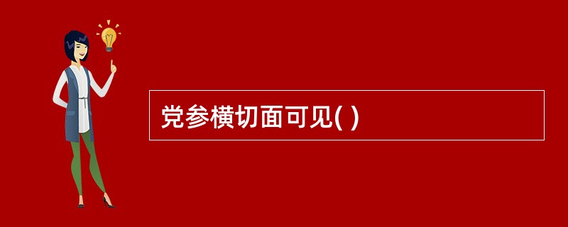 党参横切面可见( )