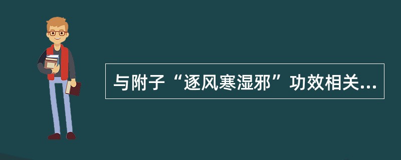 与附子“逐风寒湿邪”功效相关的药理作用是