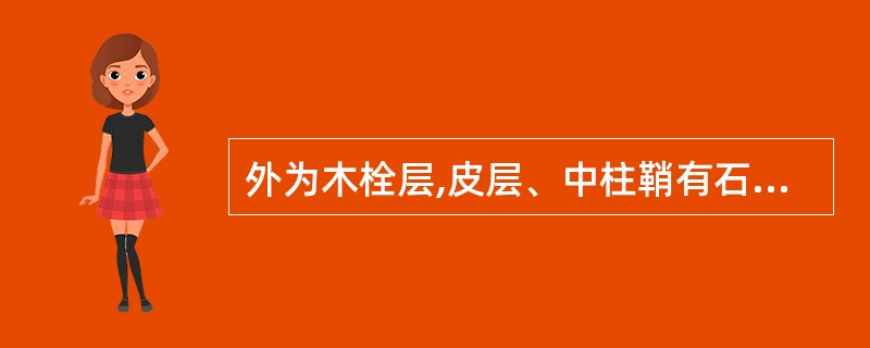 外为木栓层,皮层、中柱鞘有石细胞,髓部无石细胞的药材是( )。