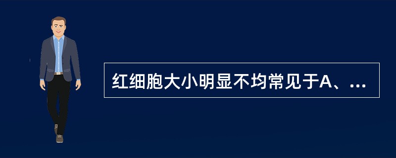 红细胞大小明显不均常见于A、缺铁性贫血B、巨幼细胞性贫血C、失血性贫血D、再生障